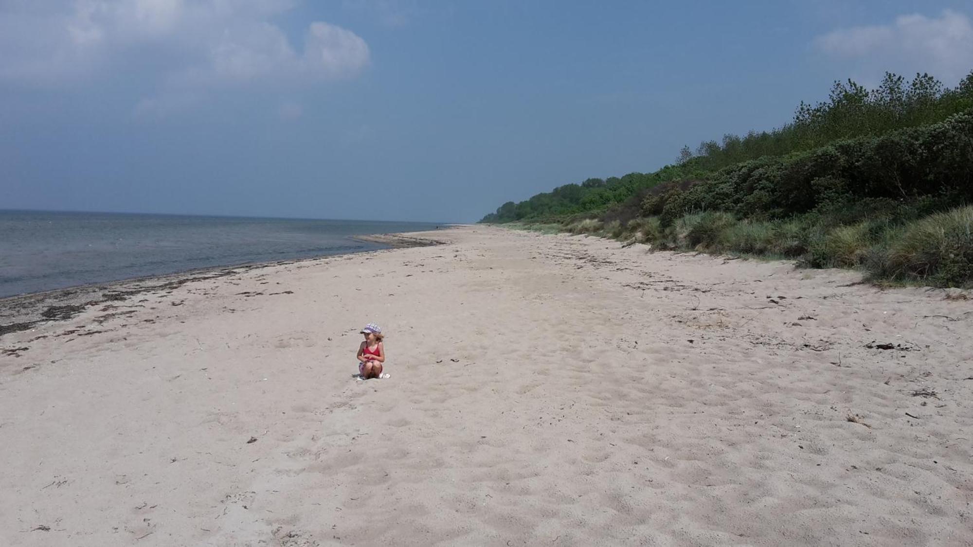 Haus Zum Strand Muschel Dassow Buitenkant foto